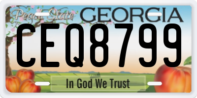 GA license plate CEQ8799