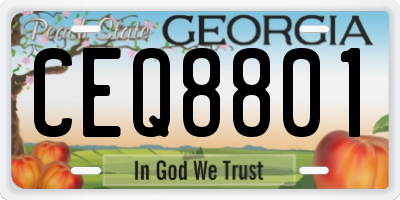 GA license plate CEQ8801