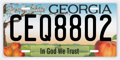 GA license plate CEQ8802