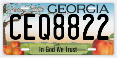 GA license plate CEQ8822