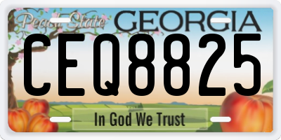 GA license plate CEQ8825