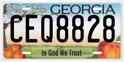 GA license plate CEQ8828