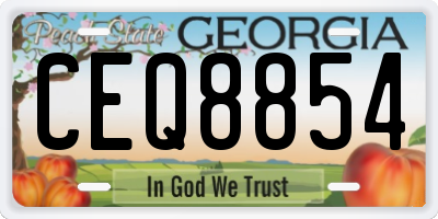 GA license plate CEQ8854