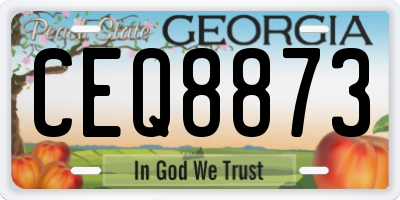 GA license plate CEQ8873
