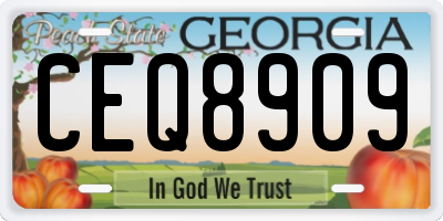 GA license plate CEQ8909