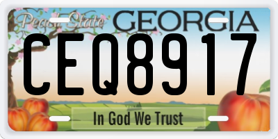 GA license plate CEQ8917