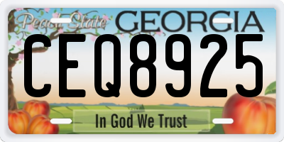 GA license plate CEQ8925