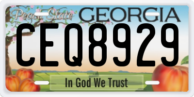 GA license plate CEQ8929