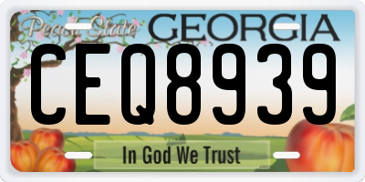 GA license plate CEQ8939