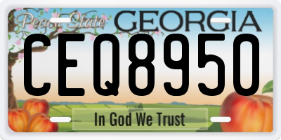 GA license plate CEQ8950