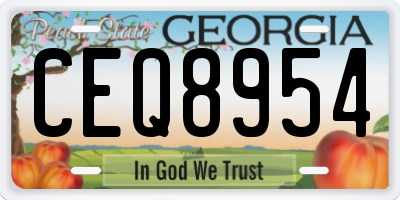 GA license plate CEQ8954