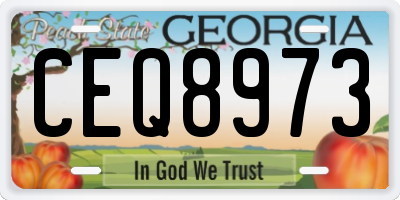 GA license plate CEQ8973