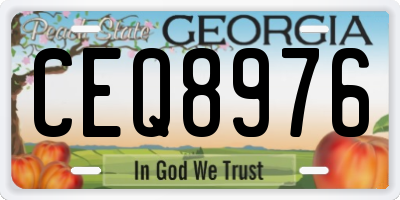 GA license plate CEQ8976