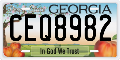 GA license plate CEQ8982