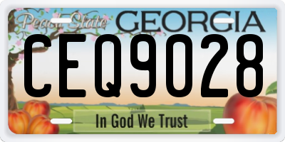 GA license plate CEQ9028