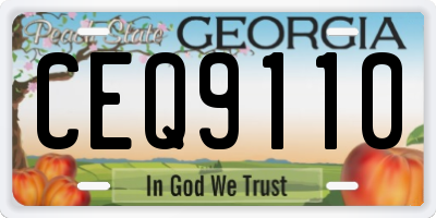 GA license plate CEQ9110