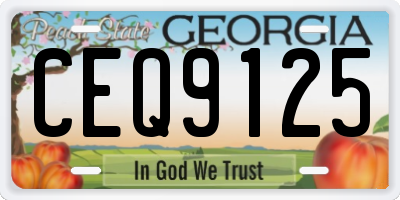 GA license plate CEQ9125