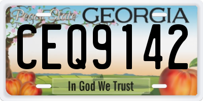 GA license plate CEQ9142