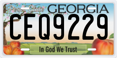 GA license plate CEQ9229