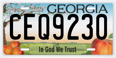 GA license plate CEQ9230