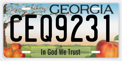 GA license plate CEQ9231