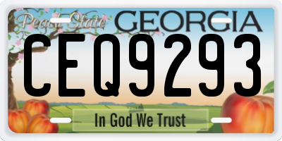 GA license plate CEQ9293