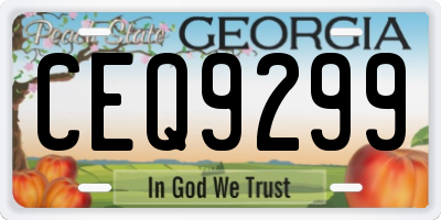 GA license plate CEQ9299