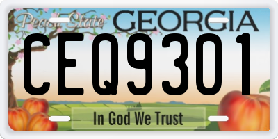 GA license plate CEQ9301