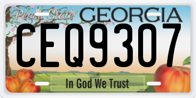 GA license plate CEQ9307