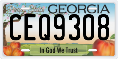 GA license plate CEQ9308