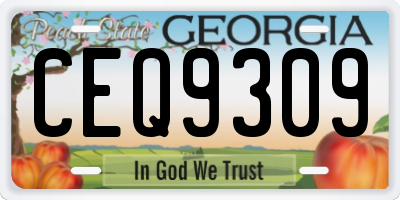 GA license plate CEQ9309