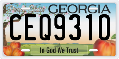 GA license plate CEQ9310