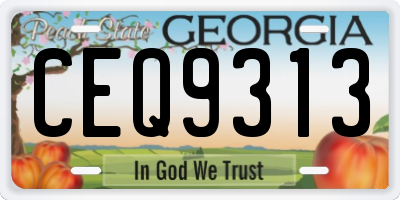 GA license plate CEQ9313