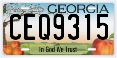 GA license plate CEQ9315