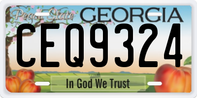 GA license plate CEQ9324