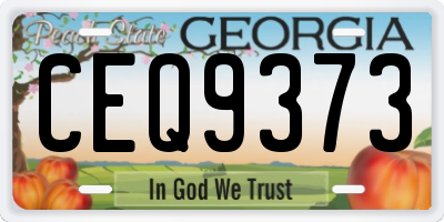 GA license plate CEQ9373