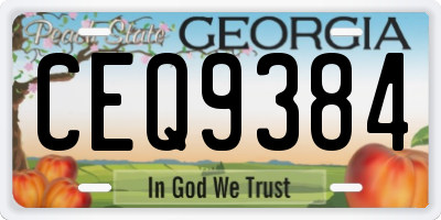 GA license plate CEQ9384