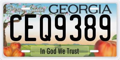 GA license plate CEQ9389