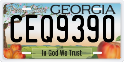 GA license plate CEQ9390