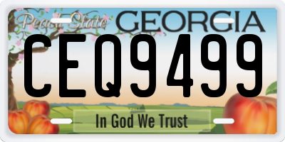 GA license plate CEQ9499