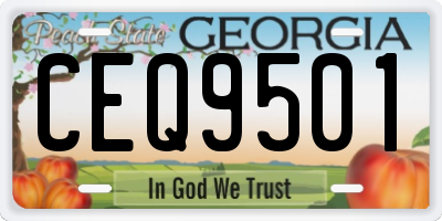 GA license plate CEQ9501