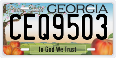 GA license plate CEQ9503