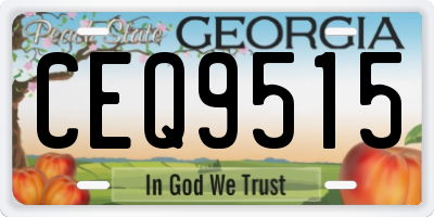GA license plate CEQ9515