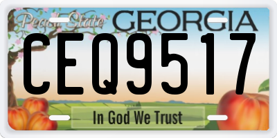 GA license plate CEQ9517