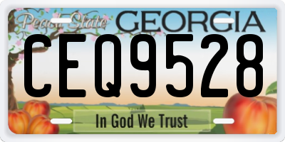 GA license plate CEQ9528