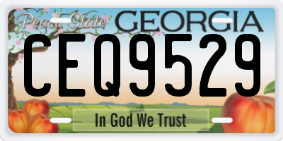 GA license plate CEQ9529