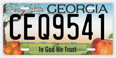 GA license plate CEQ9541