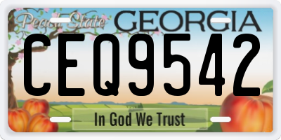 GA license plate CEQ9542