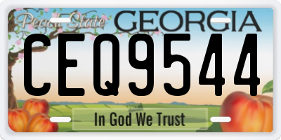 GA license plate CEQ9544