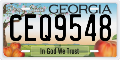 GA license plate CEQ9548